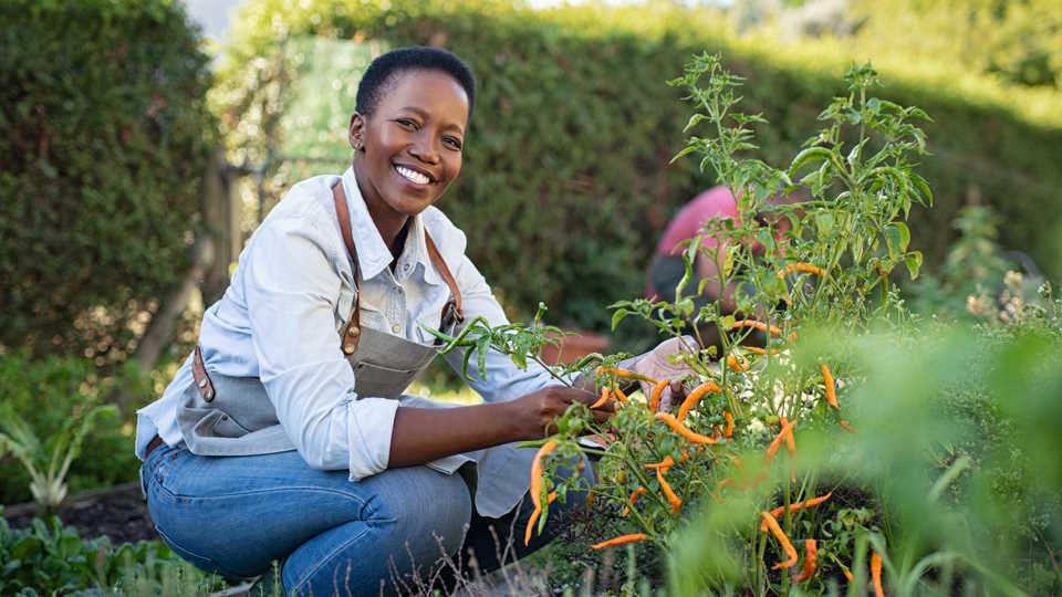 How to Grow Your Own Vegetables at Home