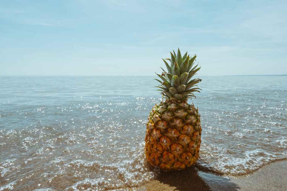 How to Dehydrate Pineapple